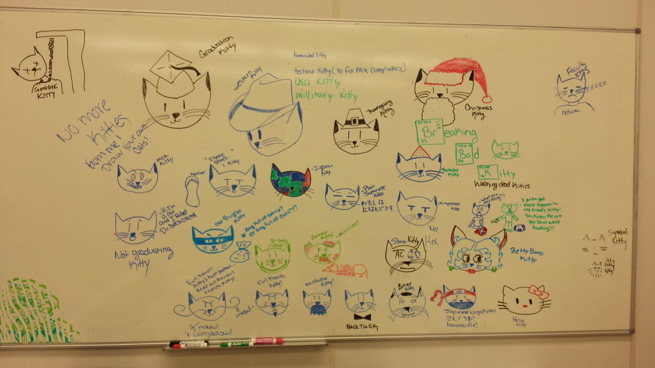 Whiteboard with Cat Doodles
